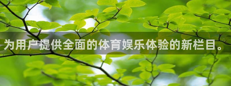 为用户提供全面的体育娱乐体验的新栏目。