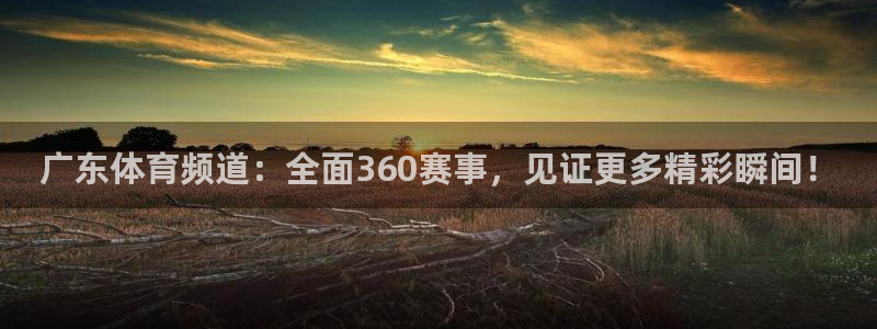 广东体育频道：全面360赛事，见证更多精彩瞬间！
