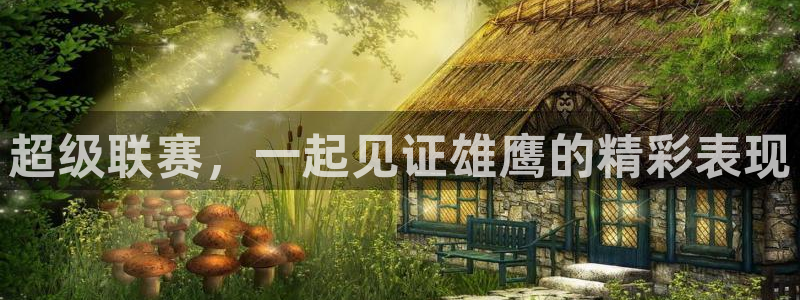 超级联赛，一起见证雄鹰的精彩表现