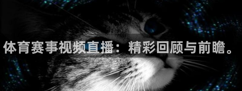 体育赛事视频直播：精彩回顾与前瞻。