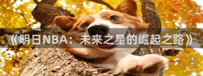 《明日NBA：未来之星的崛起之路》