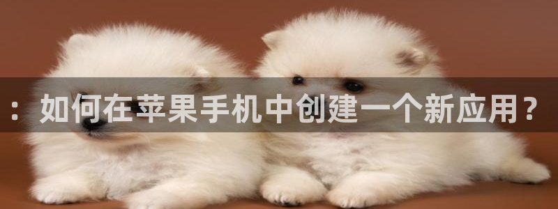 ：如何在苹果手机中创建一个新应用？