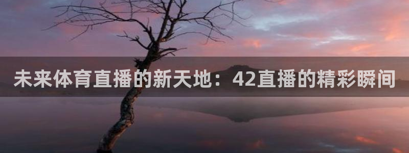 未来体育直播的新天地：42直播的精彩瞬间