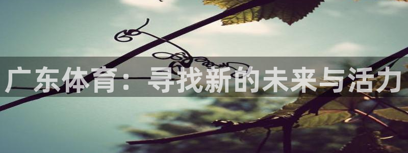 广东体育：寻找新的未来与活力