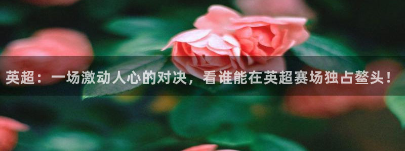 英超：一场激动人心的对决，看谁能在英超赛场独占鳌头！