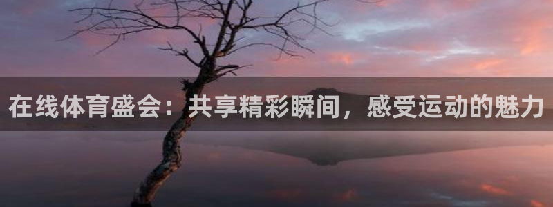 在线体育盛会：共享精彩瞬间，感受运动的魅力