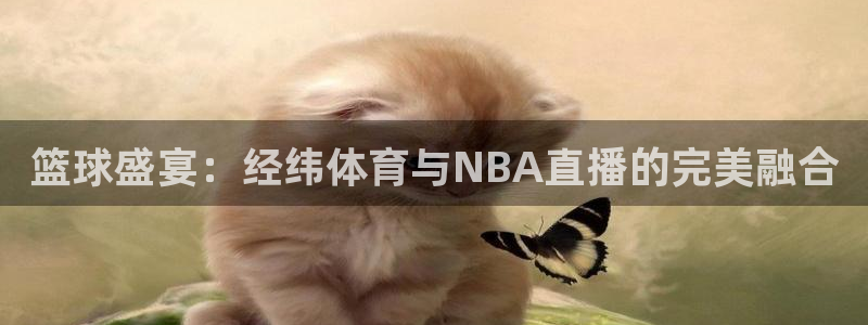 篮球盛宴：经纬体育与NBA直播的完美融合