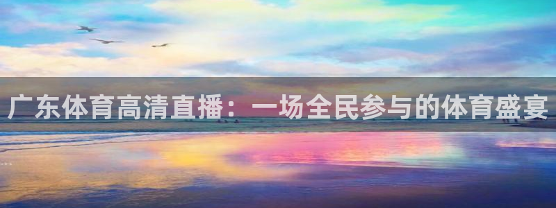 广东体育高清直播：一场全民参与的体育盛宴